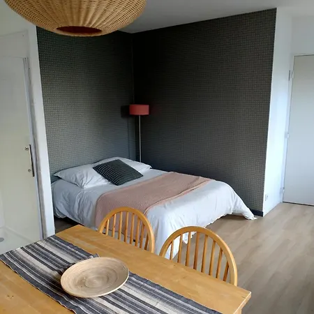 公寓 Et Parking Acces Direct Nantes